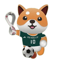 DOGE WORLD CUP