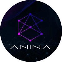Anina Coin