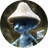Real Smurf Cat