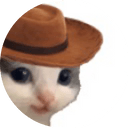 meowdy