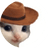 meowdy