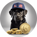 DogWifCap