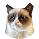 GrumpyCatCoin