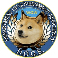 Department Of Government Efficiency