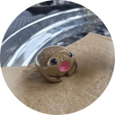 popo