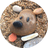 Stone Dog