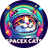 SpaceX Cats