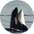 SHAMU